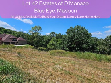 Lake Lot For Sale in Blue Eye, Missouri