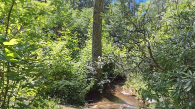 (private lake, pond, creek) Home For Sale in Highlands North Carolina