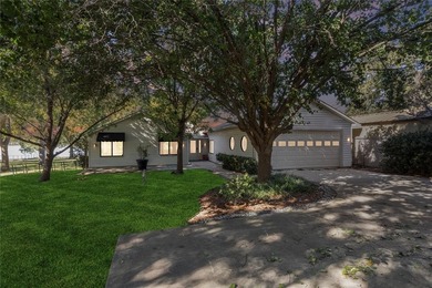 Lake Home For Sale in Newark, Texas