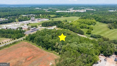 Incredible development opportunity in the heart of South Hall - photo 11