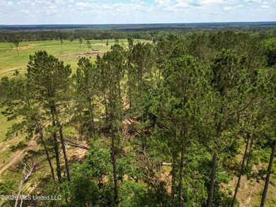 Pasture land for sale in Lincoln County, MSe check out this - photo 11