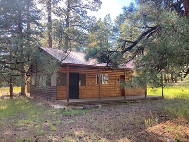 Lake Home For Sale in Chama, New Mexico