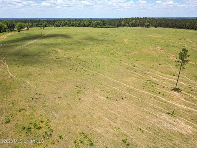 Pasture land for sale in Lincoln County, MSe check out this - photo 12