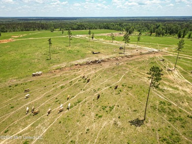Pasture land for sale in Lincoln County, MSe check out this - photo 13