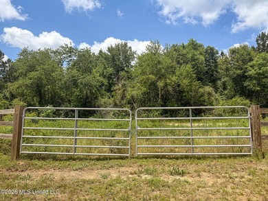 Pasture land for sale in Lincoln County, MSe check out this - photo 14
