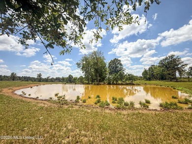 Pasture land for sale in Lincoln County, MSe check out this - photo 16