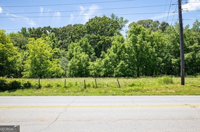 Incredible development opportunity in the heart of South Hall - photo 17