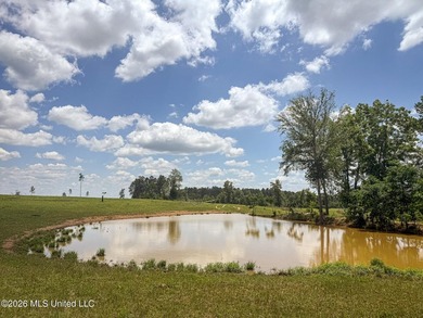 Pasture land for sale in Lincoln County, MSe check out this - photo 17