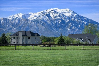 One of the finest remaining riverfront estate properties in - photo 17