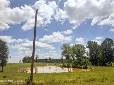 Pasture land for sale in Lincoln County, MSe check out this - photo 19