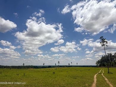 Pasture land for sale in Lincoln County, MSe check out this - photo 20