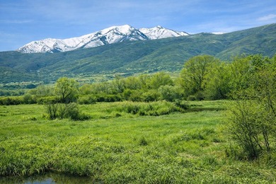 One of the finest remaining riverfront estate properties in - photo 20