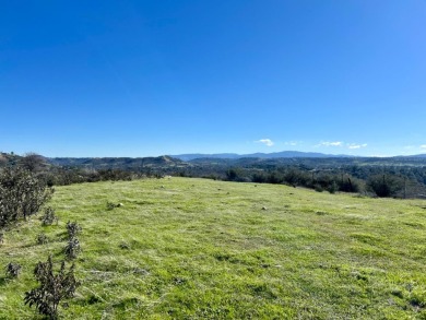 Lake Camanche Acreage For Sale in Burson California