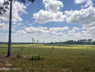 Pasture land for sale in Lincoln County, MSe check out this - photo 21