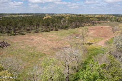 (private lake, pond, coastal) Acreage Sale Pending in Washington Louisiana