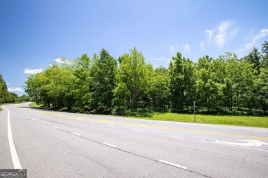 Incredible development opportunity in the heart of South Hall - photo 22