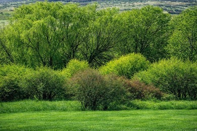 One of the finest remaining riverfront estate properties in - photo 22