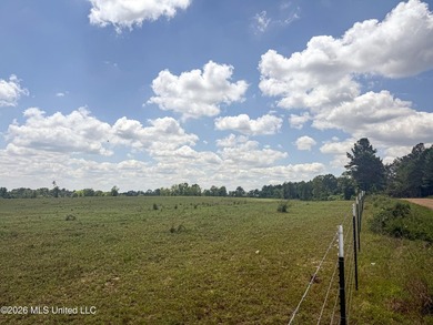 Pasture land for sale in Lincoln County, MSe check out this - photo 23