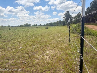 Pasture land for sale in Lincoln County, MSe check out this - photo 24