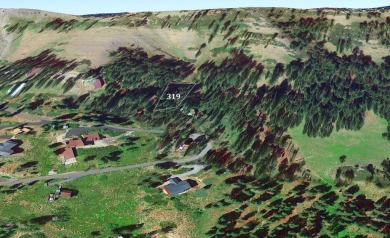 Lake Lot For Sale in Bear Valley, California