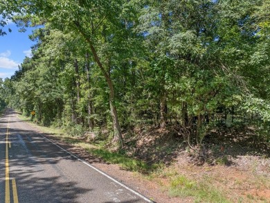 (private lake, pond, creek) Acreage For Sale in Laneville Texas