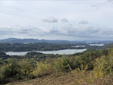 Lake Acreage Sale Pending in Bean Station, Tennessee