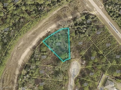 Lehigh Acres Area Lot For Sale in Lehigh Acres Florida