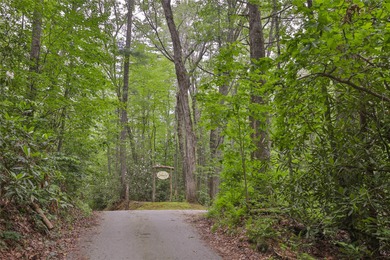 Looking for a lot in town with frontage on the headwaters of the - photo 3