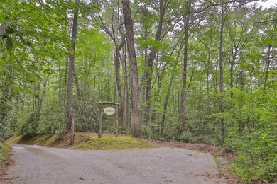 Looking for a lot in town with frontage on the headwaters of the - photo 4