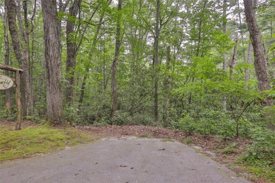 Looking for a lot in town with frontage on the headwaters of the - photo 5