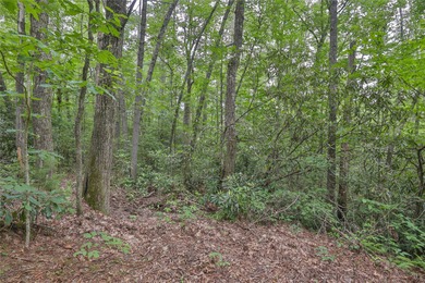 Looking for a lot in town with frontage on the headwaters of the - photo 7