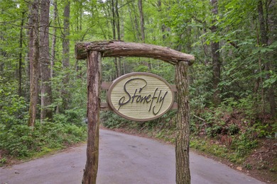 Looking for a lot in town with frontage on the headwaters of the - photo 9