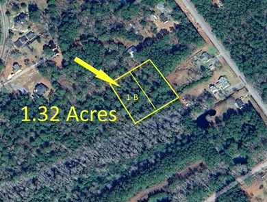 TIDEWATER: Where Your Animals, Outbuildings, Boat, and Homestead - photo 2