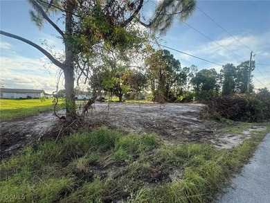 Lehigh Acres Area Lot For Sale in Lehigh Acres Florida