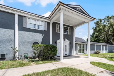 Lake Commercial For Sale in Tavares, Florida