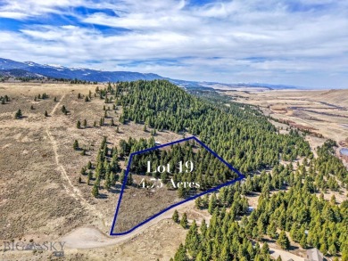 Madison River Acreage For Sale in Cameron Montana
