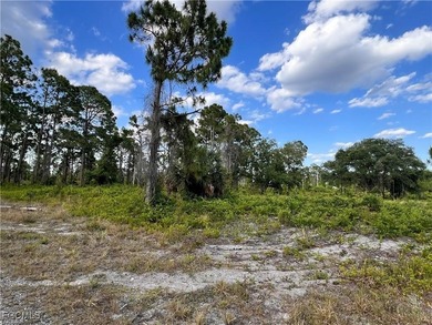 Lehigh Acres Area Lot For Sale in Lehigh Acres Florida