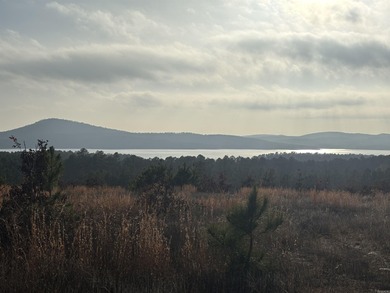 This lot has an incredible view overlooking Lake Maumelle, The - photo 2