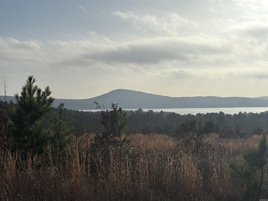 This lot has an incredible view overlooking Lake Maumelle, The - photo 3