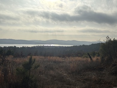 This lot has an incredible view overlooking Lake Maumelle, The - photo 4