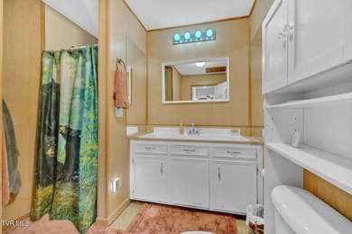 929 Black Alder Ln, Dandridge, TN - Koontz Creek Subdivision - photo 15