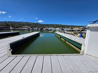 Welcome to the beautiful Pine Knot Marina in Big Bear Lake - photo 3