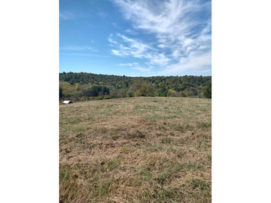 (private lake, pond, creek) Acreage For Sale in Carlisle Kentucky