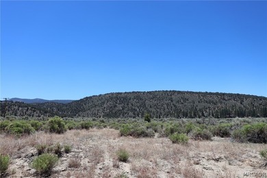 Level 50 X 100 lot with Mtn - photo 1