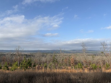 Lake Maumelle Lot For Sale in Roland Arkansas