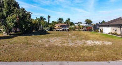 Beautiful lot in the sweet spot of SE/SW Cape Coral, ready to - photo 6