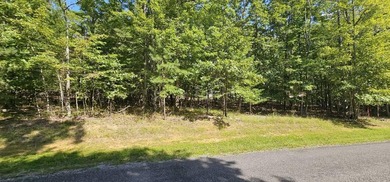 Beautiful 2.07 acre lot in Stone Creek Cabins! Lot is fully - photo 11