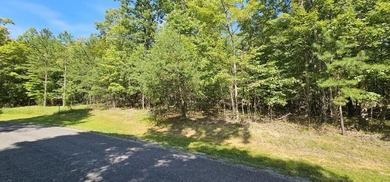 Beautiful 2.07 acre lot in Stone Creek Cabins! Lot is fully - photo 12