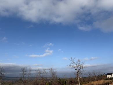 Lake Maumelle Acreage For Sale in Roland Arkansas