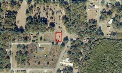 Lake Weir Lot For Sale in Summerfield Florida